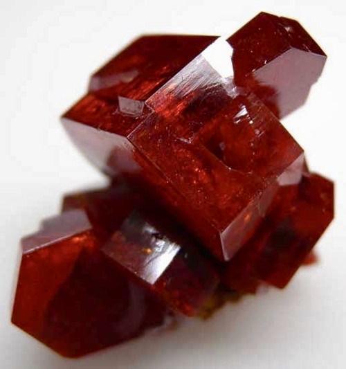 San Shi Garnet Stud Earrings, 18 ct Rose Gold Vermeil - Tsai x Tsai | Luxury Gemstone Jewellery Gift
